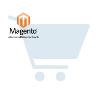 Magento Sales - admin user Record